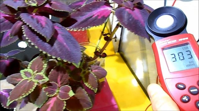 Growlight 50Watt LED DIY Lightmeter LUX