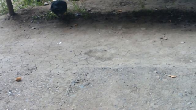 Гуль смотреть онлайн