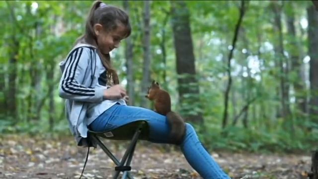 арина кормит белок) смотреть онлайн