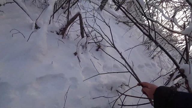 Прогулка по зимнему лесу.(Ставим петли на зайцев). смотреть онлайн