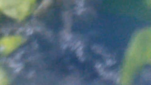 клип улиток смотреть онлайн