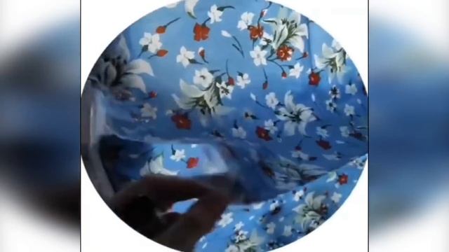 Кошачий беспредел (#2)