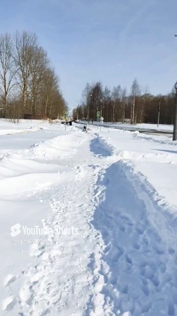 Архангельская область Новодвинск Зимние❄утро Прогулка за городом👍#зима #север #россия #город смотреть онлайн