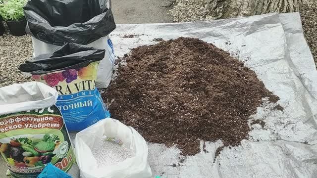 Готовим супер-грунт для петунии который даст МЕГА результат!
Вырастит огромный цветущий шар Петунии смотреть онлайн