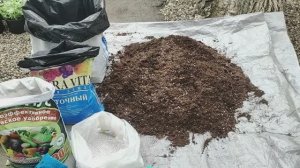 Готовим супер-грунт для петунии который даст МЕГА результат!
Вырастит огромный цветущий шар Петунии