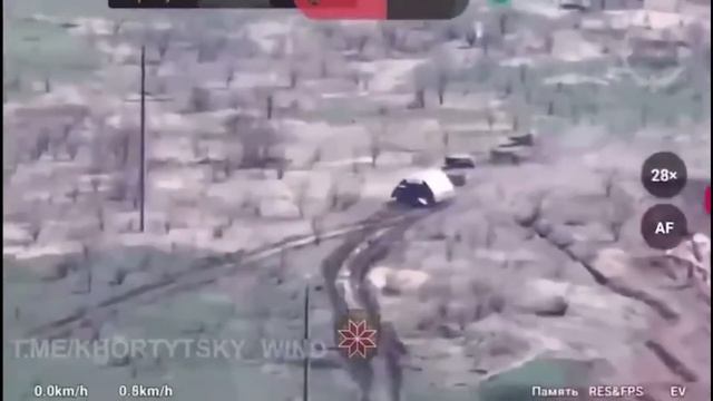 The Turtle Tank Gets Destroyed смотреть онлайн