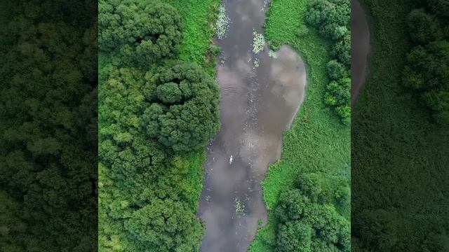 Act Beautiful | Biodiversitate (La Gacilly, Franța) смотреть онлайн