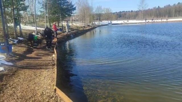 WhatsApp Video 2025-04-14 at 10.12.23 смотреть онлайн