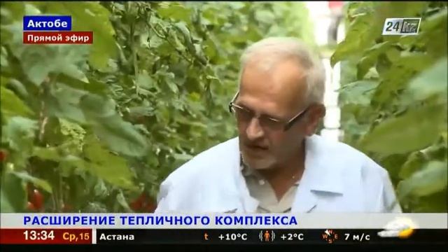 Успешное развитие тепличного комплекса на западе Казахстана смотреть онлайн