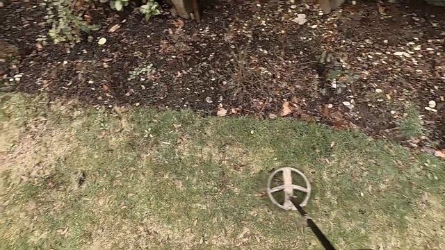 Very very distracted while testing the Deus 2 in the test garden. смотреть онлайн