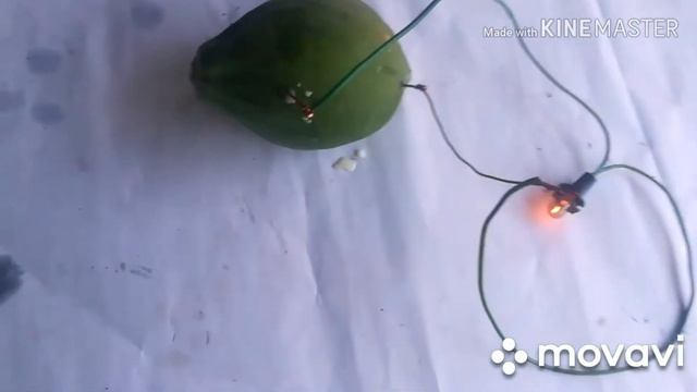 Let's take the papaya electricity смотреть онлайн