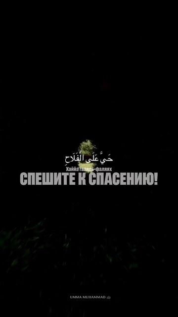 ИКАМАТ смотреть онлайн