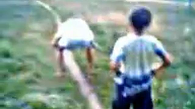 Young MaMba-чихорда смотреть онлайн