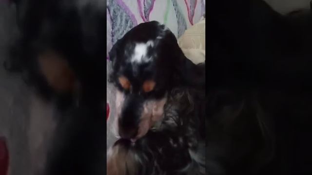 Кира смотреть онлайн