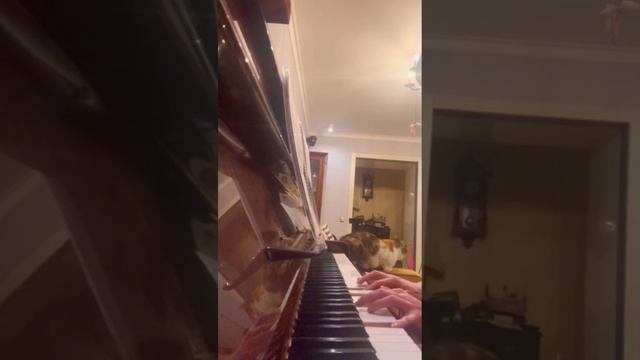 Уррра! Домашнее видео от моей ученицы Марины Дëминой 🎶🥳 смотреть онлайн