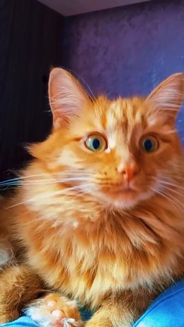 пусть деньги услышат