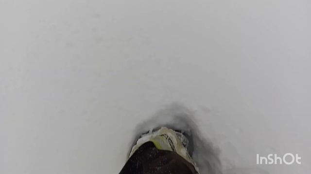 Металлокоп или снегокоп? смотреть онлайн