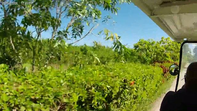 Melia Zanzibar - ride to Gabi beach смотреть онлайн