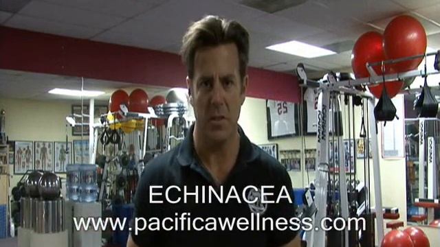 Wellness Supplement | Dr. Tim Ramirez смотреть онлайн