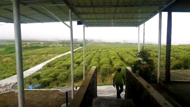 Malino Highlands Terbaru 2020 смотреть онлайн