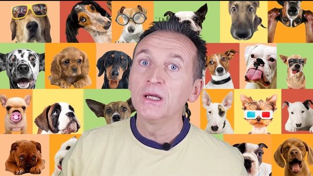 Dogfather: come leggere la CACCA del CANE смотреть онлайн