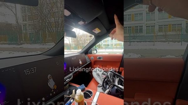 Английский в #lixiang Голосовые команды