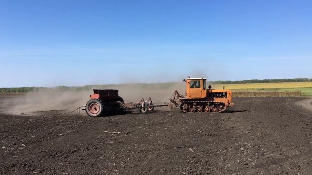 Дт - 75М  сев озимых 2019