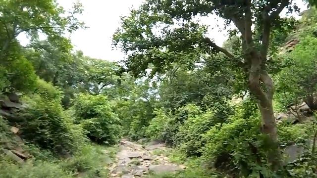 Esura mhadev pahargarh morena(1) смотреть онлайн