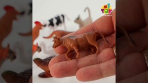 T50552 Ферма 5см12шт