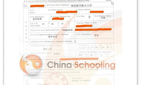 What's JW202 / JW201? | China Visa Application Form | Study in China for International Students смотреть онлайн