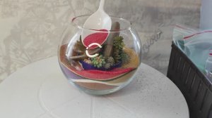 Флорариум из суккулентов с цветным песком своими руками