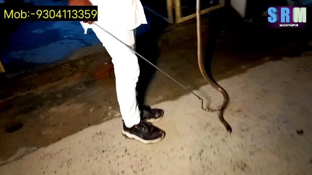 बीच बाजार कुत्ता और नाग सांप की जुगलबंदी देखते ही सबके रोंगटे खड़े हो गए।। смотреть онлайн