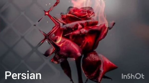 Mohsen Chavoshi~bexom az tu begzaram