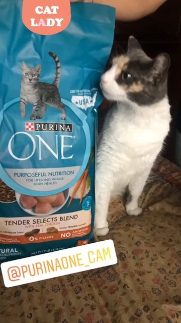 PURINA ONE CONCURSO смотреть онлайн