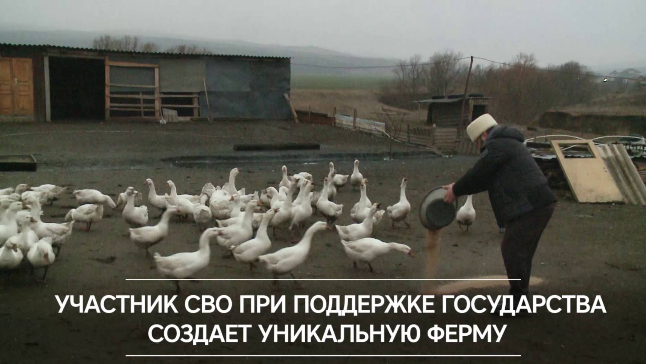 Участник СВО при поддержке государства создает уникальную ферму смотреть онлайн