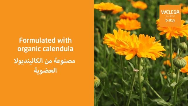 Certified Natural Baby Bath Care By Weleda смотреть онлайн