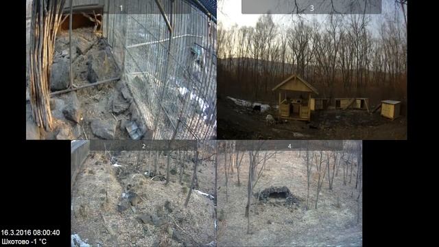 Архив веб-камер в Парке Амура и Тимура за 16.03.2016 смотреть онлайн