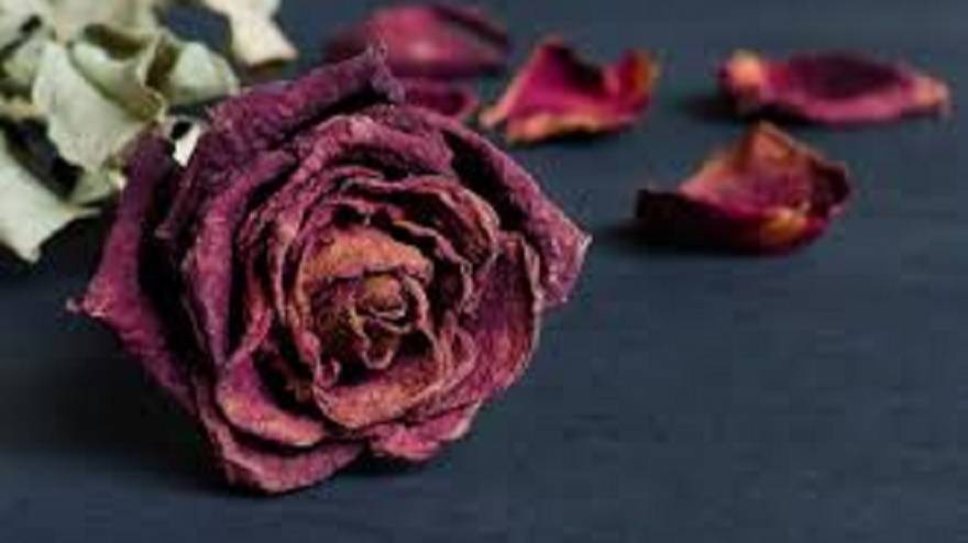 Sona - Всё Пройдёт автор ролика Светлый смотреть онлайн