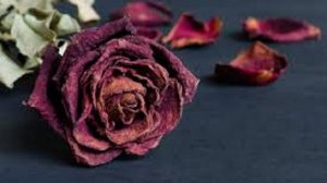 Sona - Всё Пройдёт автор ролика Светлый