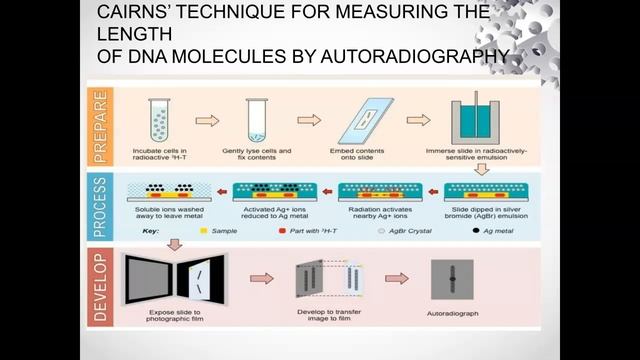 Isotopy and Radioactivity 1 смотреть онлайн