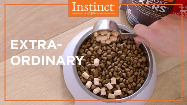 :06 Instinct Raw Boost Mixers: Ordinary Into Extraordinary. смотреть онлайн
