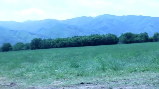 MVI_8950_clip0_clip0.avi смотреть онлайн