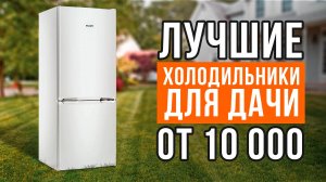 Бюджетные холодильники для дачи от 10 000 рублей. Какой холодильник для дачи выбрать?