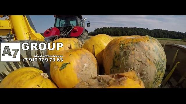 Комбайн для уборки голосемянной тыквы модель 430. Австрия #тыква #уборка #комбайн