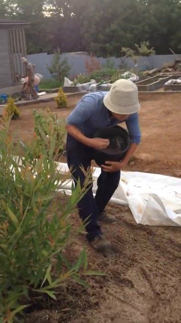 Наш первый газон на даче смотреть онлайн