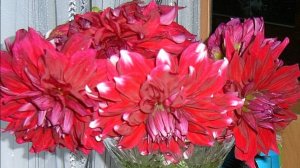 "Давай не будем спешить"  (А действительно,  зачем  спешить...)