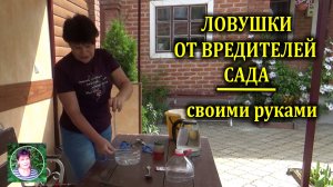 Поспешите сделать ловушки от вредителей плодовых чтобы сохранить урожай