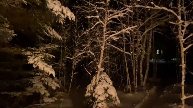 Maine Woods Night Fire After Snow Storm смотреть онлайн