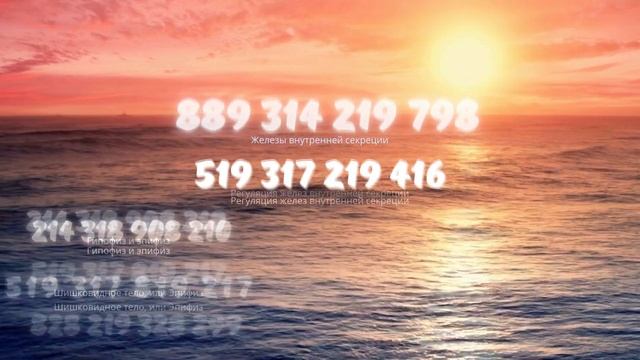 Железы внутренней секреции — 889 314 219 798 смотреть онлайн