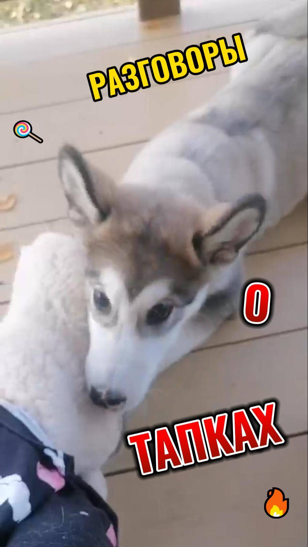 РАЗГОВОРЫ О ТАПКАХ